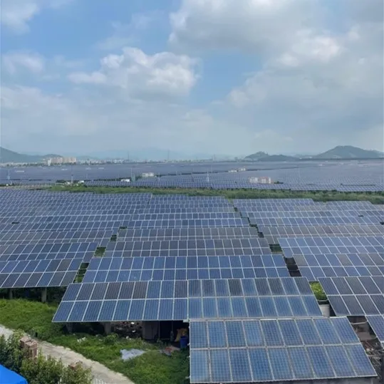 Agri-Voltaic Solar Farm for Southeast Asia